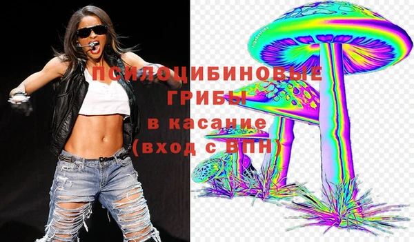 твердый Вяземский